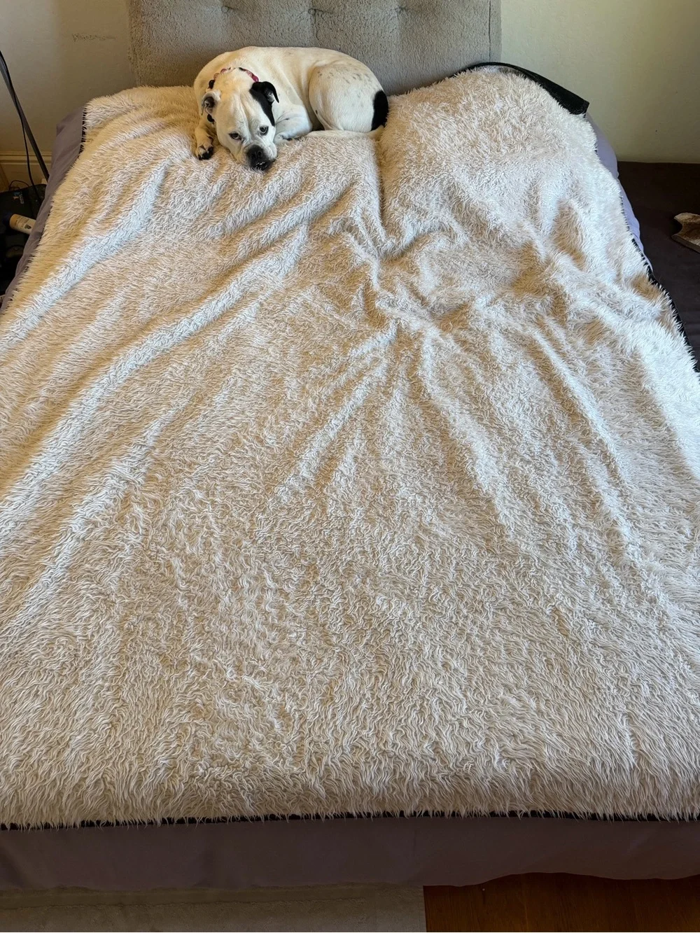 Faux Fur Waterproof Throw